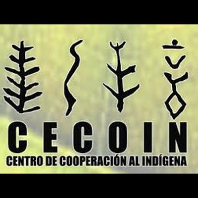 Logo of CECOIN